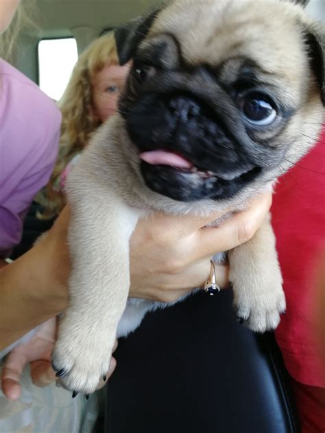 …Чико… — DRIVE2