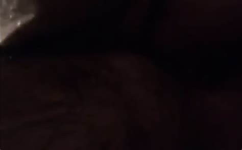 Amateur Bears Home Video