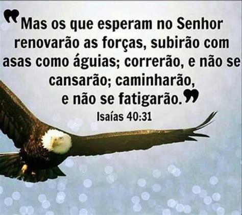 Mas O Que Esperam No Senhor - Mas os que esperam no Senhor renovarão as forças... | Isaías 40 31 ...
