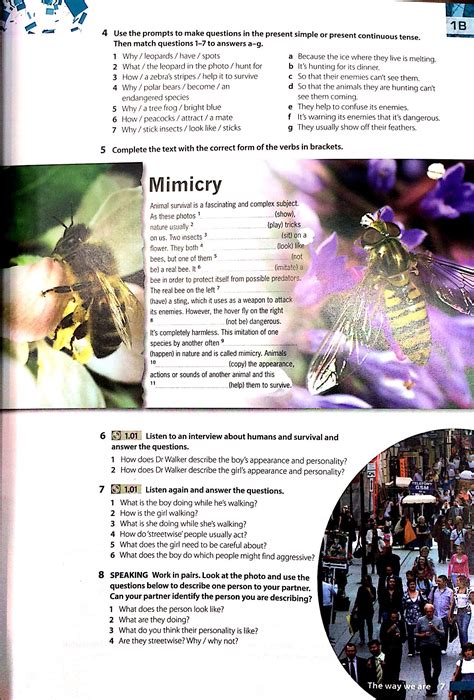 Insight Intermediate Student Book - FAHASA.COM