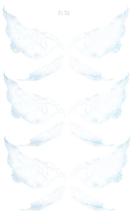 fu wing   darkfairyofmadness  deviantart