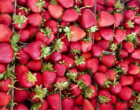 Продуктовый Магазин “Березка” Советская 17 | Рады видеть Вас в нашей ...