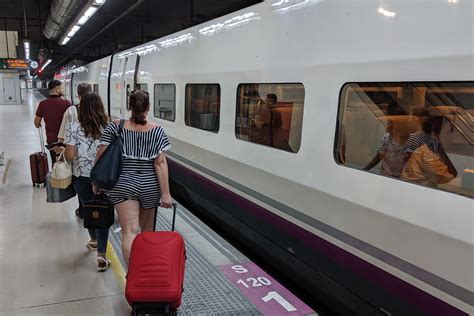 Can Dogs Travel On Trains In France