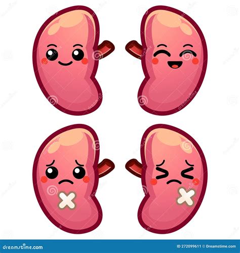 Happy Funny Strong Works Cute Kidneys Charactervector Flat