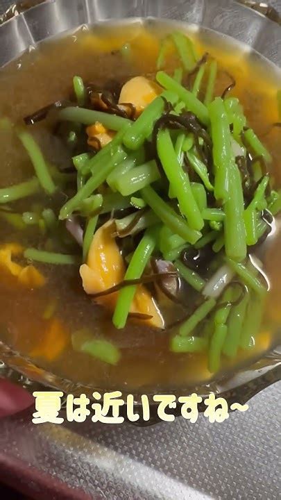 ミズとホヤの水物 山菜 ホヤ 青森県 弘前 Youtube