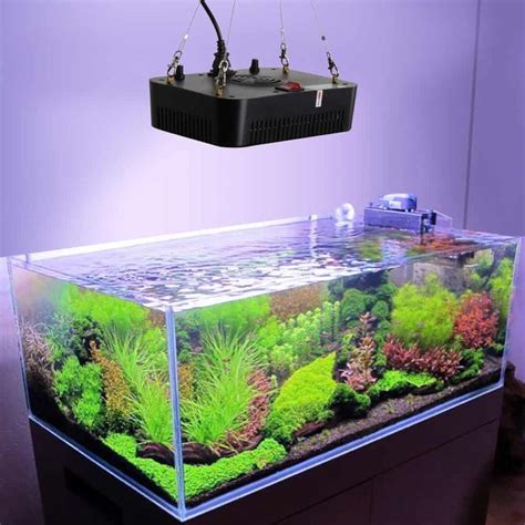 Top Led Lights For Your Planted Aquarium And Guide The Aquarium