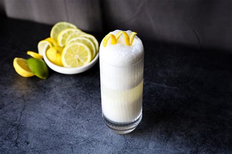 How To Drink Gin Vom Mixen Und Trinken Hallwag Al 4