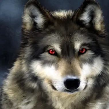 Yoga Contortion Julia Hairy Hairy Porn Xhamster