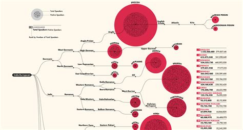ranked    spoken languages worldwide