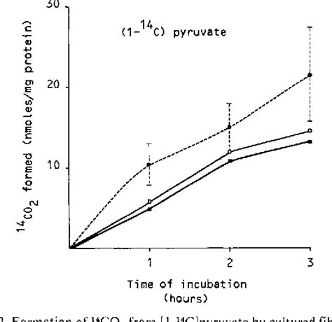 Pdf Fatal Lactic Acidosis In A Newborn Attributable To A Congenital