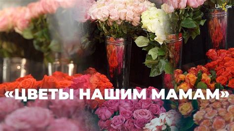 Цветы счастья для мам - YouTube