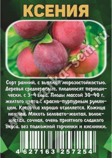 Золотая сотка алтая