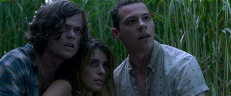 In the Tall Grass Trailer Brings Stephen King & Joe Hill's Frightening Tale to Netflix