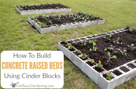 How To Build A Cinder Block Raised Garden Bed Get Busy Gardening