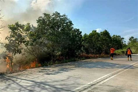 Waspada Kebakaran Hutan Dan Lahan Bisa Terjadi Di Wilayah Ini Koran