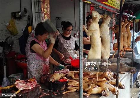 china dog meat festival stock  high res pictures  images