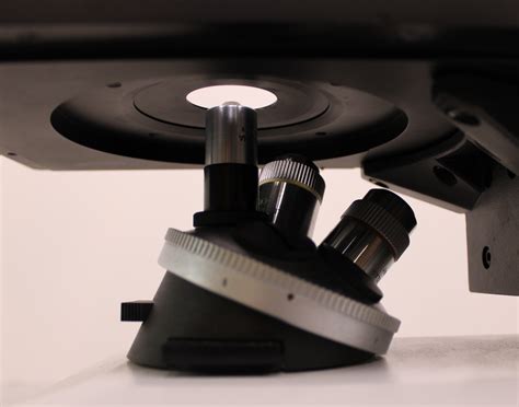 Reuzeit Leitz Labovert Inverted Microscope