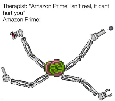 The Real Amazon Prime Oc Meme Terraria