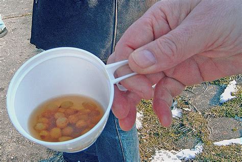 Ostfriesische Bohntjesopp Von Friesin Chefkoch De