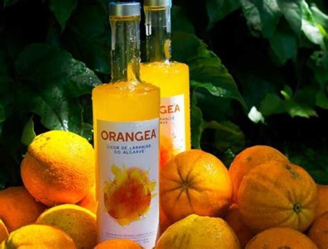 Receita De Licor De Laranja Arteblog