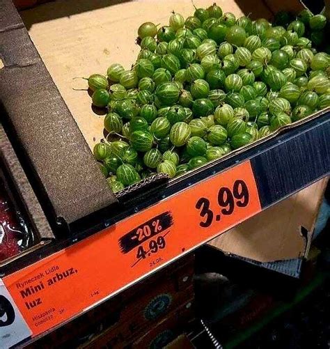 Мини арбуз | Пикабу