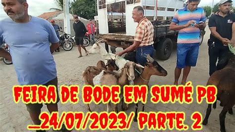 Feira De Caprinos E Ovinos Em Sum Pb Parte Youtube