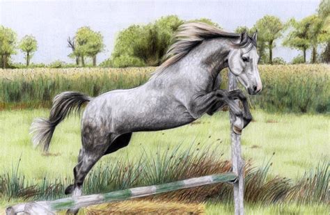 Grey Horse by ManiaAdun on DeviantArt