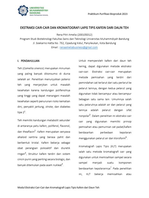 Ekstraksi Cair-Cair Dan Kromatografi Lapis Tipis Kafein Dari Daun Teh | PDF
