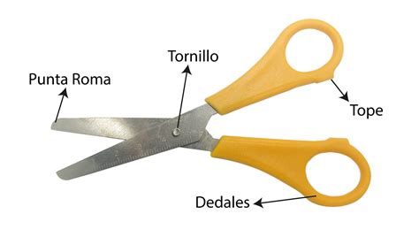 Partes De Una Escalera De Tijera De Aluminio Escaleras De Aluminio Y Sexiezpix Web Porn