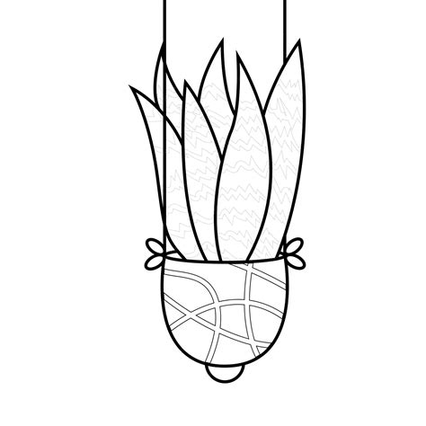 how to cut back snake plant 4