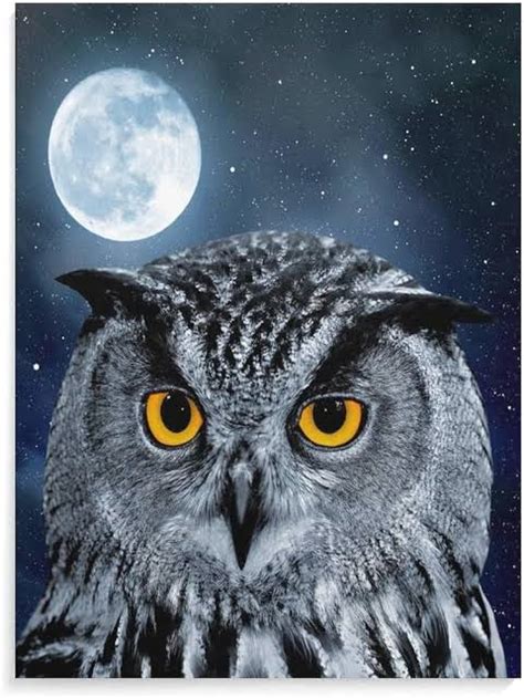 Ya Anm Gay Sex Hikayem Inci S Zl K