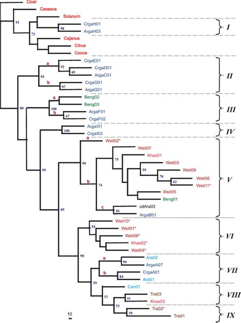 A Phylogram Neighbor Joining Showing The Relationship Between The