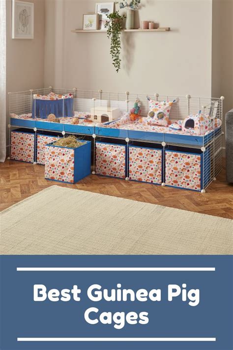 The Best Cages For Guinea Pigs Artofit