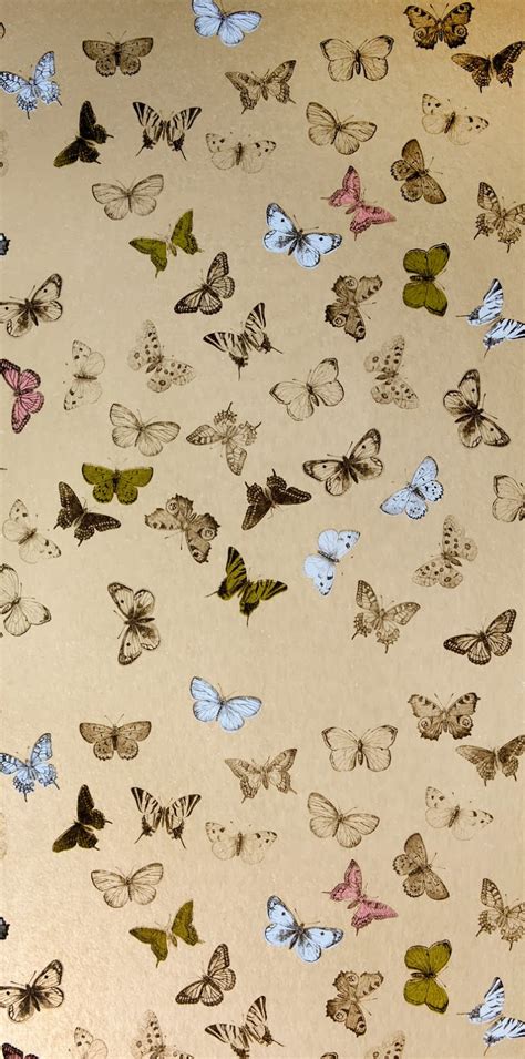 Imprimolandia Estampado De Mariposas