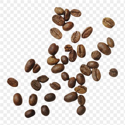 fresh coffee beans png sticker premium png rawpixel