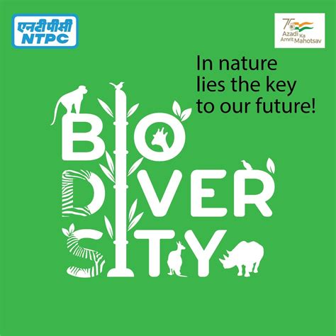 Biodiversity Policy For Conservation And Restoration Of Biodiversity