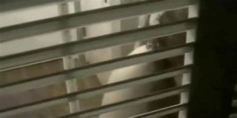 Big Shaved Pussy Spied While Peeing Tnaflix