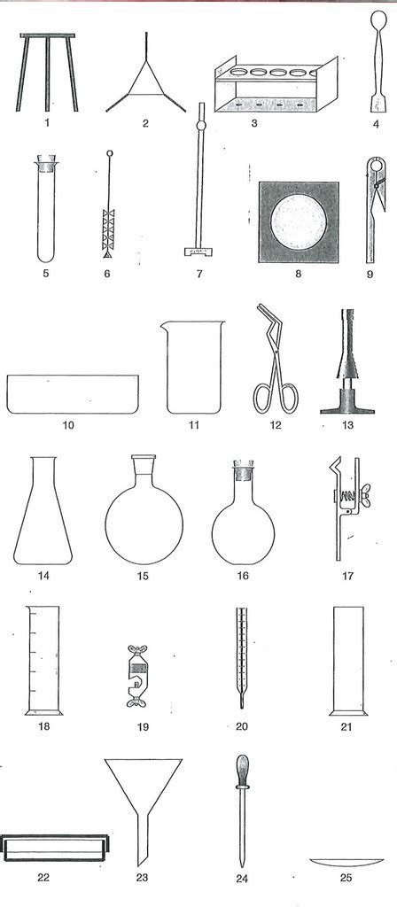 Laborger Te Diagram Quizlet