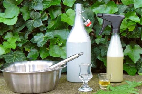 От тли, клещей у собак и для чистки мебели: рецепт спрея с мягким мылом