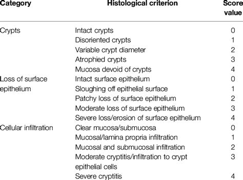 Colon Histomorphology And Neutrophil Infiltration Scoring Criteria