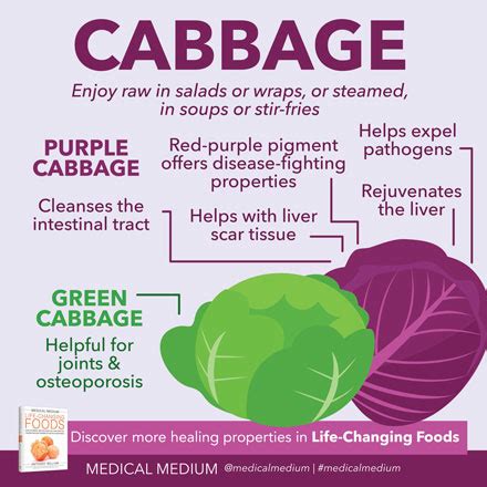 cabbage healing food