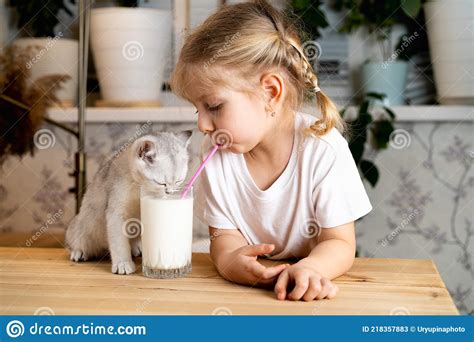 A Small Blonde Girl Sits At A Table With A White Scottish Kitten And Drinks Milk From One Glass