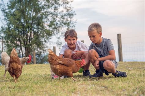 Bilder Impressionen Familienbauernhof Samerhof