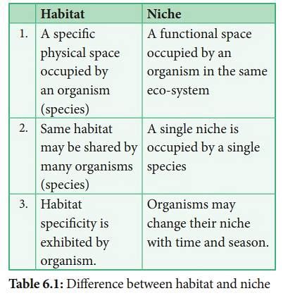 Diferen A Dintre Habitat I Ni Differbetween