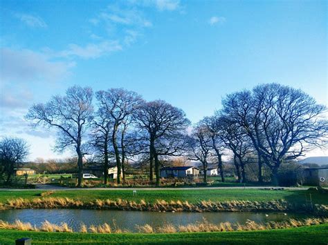 Angrove Country Park Bewertungen And Fotos Great Ayton England