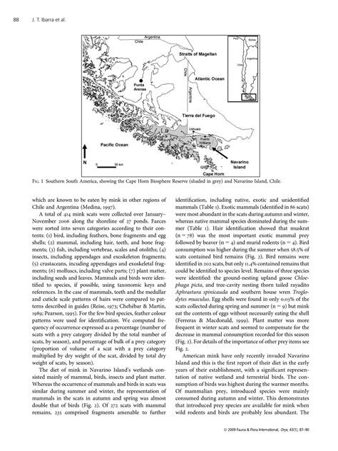 Invasive American mink Mustela vison in wetlands of the Cape Horn