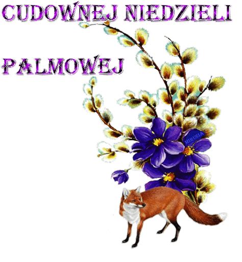 Fioletowe Kwiaty Cudownej Niedzieli Palmowej Gify I Obrazki Na