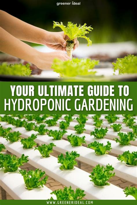 An Introduction To Hydroponic Gardening Infographic Hydroponic