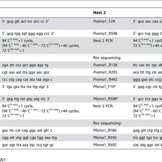 PCR primers and conditions. | Download Table