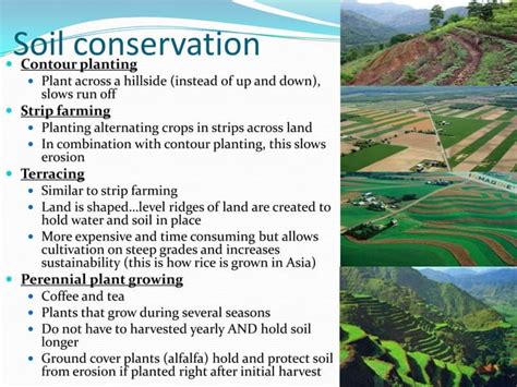Soil Ppt Ppt